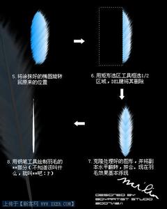 Fireworks教程：用钢笔绘制漂亮的羽毛扇