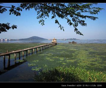 太湖一莲美丽的遇见 美丽的太湖写景范文5篇