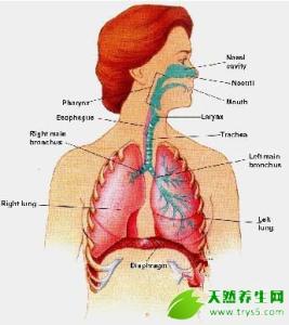 唱歌怎样找到发声位置 唱歌如何找到声音高位置的方法