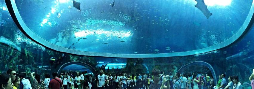 珠海长隆水族馆 珠海长隆海洋王国是世界上最大的水族馆