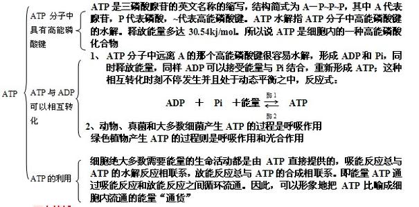 高一生物必修二知识点 高一生物必修1酶的知识点总结