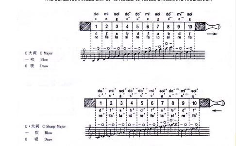 10孔40音半音阶口琴 10孔半音阶口琴音阶图