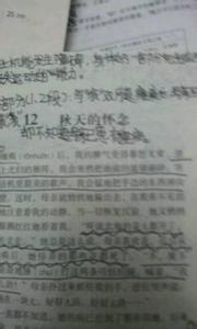 关于母爱的文章有哪些 关于赞美母爱的文章