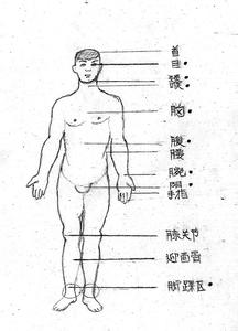 帝国剑术吃基础精通吗 剑术的基础功法