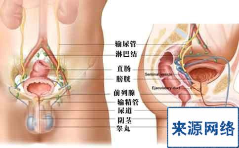 治疗前列腺最有效的药 前列腺治疗方法