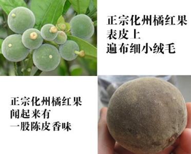 橘红多少钱一斤 橘红的功效与作用