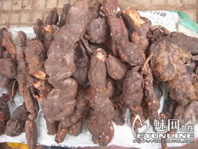 生何首乌怎么吃最简便 生何首乌的食用方法