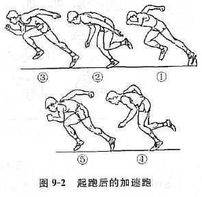 50米短跑技巧视频教程 50米短跑技巧