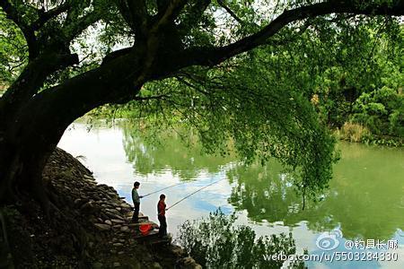 春季的节气 春季不同节气有哪些钓鱼要点