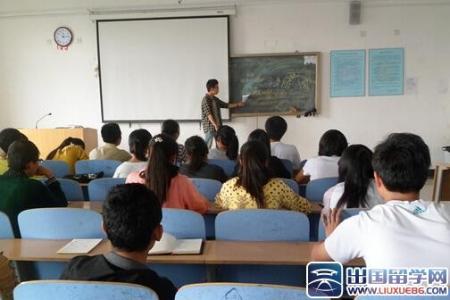 学生会学习部部长个人工作总结