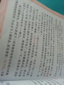 我爱小狗作文300字 我爱小狗作文300字6篇