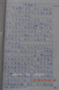 关于春天的作文300字 春天的作文 300字