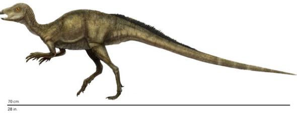 世界上最厉害的恐龙 世界上最小的恐龙