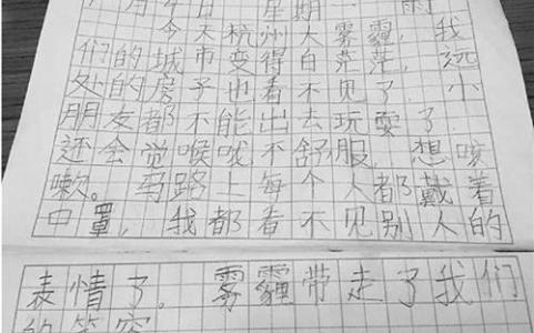 小学生日记格式范文 小学生新年日记范文5篇