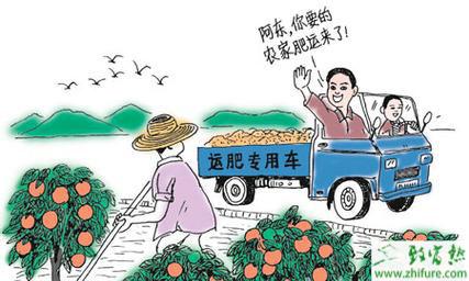 农村创业开店 农村开店创业项目