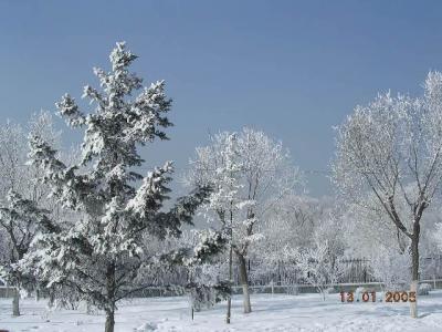 描写冬天景色作文500 描写冬天景色的写景作文