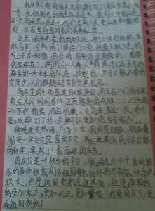初中生作文500字 叙事 初中生关于国庆节作文500字,初中国庆节作文