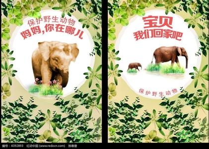 保护动物的公益广告词 关于动物的公益广告词_动物保护的公益广告词