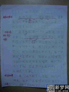 我爱我家200字作文 我爱我家的作文300字