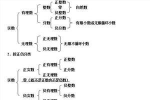 中考数学视频：实数的概念及其分类