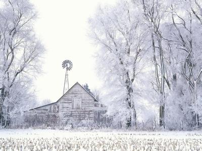 今年冬天下雪吗 下雪听的歌 冬天听的好听的歌