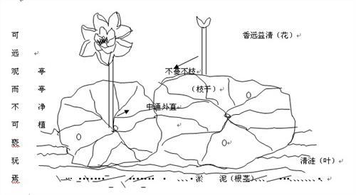 初中语文教研组计划 初中语文 教研计划