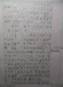 成长的蜕变作文800字 关于蜕变的作文