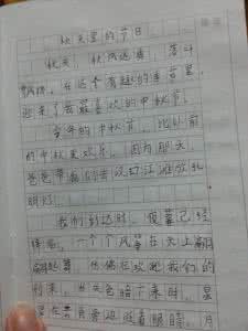 小学生作文难忘的节日 小学四年级的节日的作文三篇