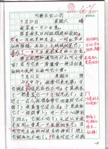 观察小白兔作文400字 观察小白兔说明文作文500字