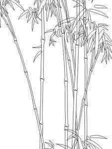 铅笔画竹子步骤的图片 关于竹子的铅笔画图片