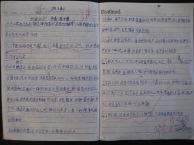 我爱我家作文300字9篇 我爱我家的作文精选5篇