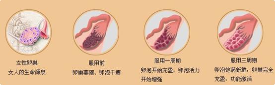 女性备孕吃什么养卵泡 吃什么东西养卵泡 养卵泡的食疗方