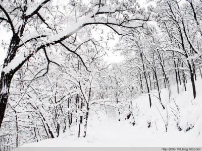 描写冬天的古诗 描写冬天的诗句