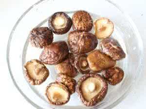野生花菇 野生花菇怎么做才更有营养更好吃 野生花菇的做法步骤
