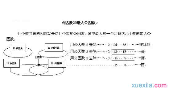 最大公因数是什么 公因数与最大公因数是什么