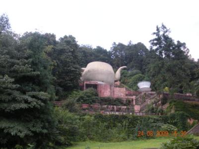 茶文化发源地 茶文化发源地英语翻译是什么