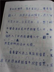 寒假生活随笔300字 寒假生活随笔作文650字_我的寒假随笔作文650字