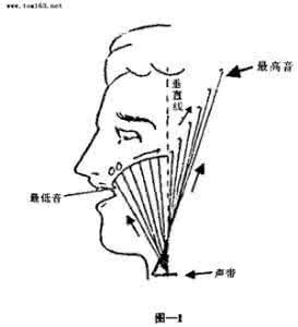 通俗唱法练声 通俗唱法的发声特点有哪些 通俗唱法怎么练声