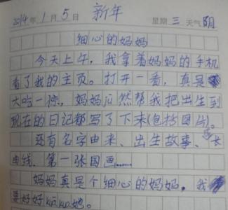 过年日记500字 过年日记500字 关于春节的日记500字