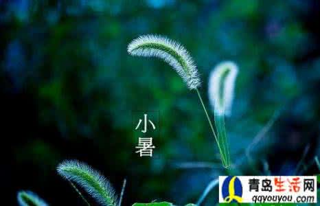 小暑节气 2016小暑节气祝福语大全