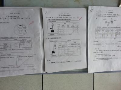 实验报告范文 小学实验报告范文