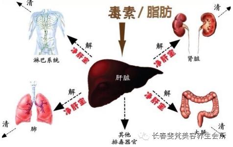 早晨清肠排毒法 清肠排毒养生法