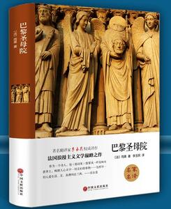 读巴黎圣母院有感 读《巴黎圣母院》有感800字四篇