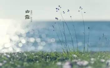 描写白露节气的诗句 白露节气的介绍