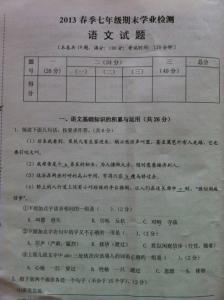 七年级下政治期中试卷 七年级下册政治期中质监试卷