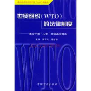 反不正当竞争法律制度 略论世贸组织中的竞争法律制度