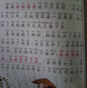 感谢妈妈的作文300字 我最要感谢的人作文300字