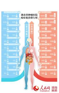 主题公园策划方案 世界癌症日主题活动策划方案3篇