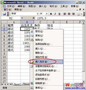 excel2003合并单元格 Excel2003单元格怎样添加简介说明文字