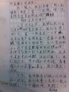 励志日记300字 300字初中励志日记4篇